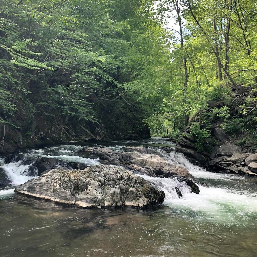 Meet your Posher, Trish